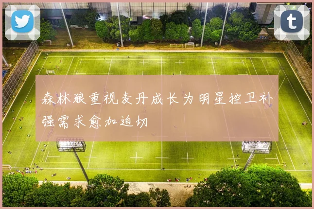 森林狼重视麦丹成长为明星控卫补强需求愈加迫切